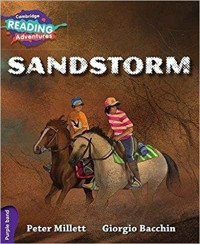 Sandstorm