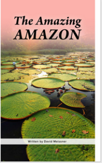 The Amazing Amazon