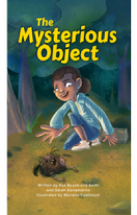 The Mysterious Object