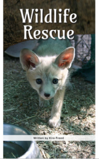 Wildlife Rescue